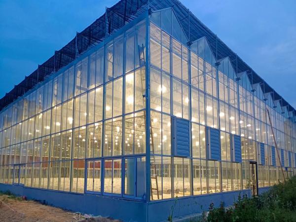 Sansi LED Built up A Smart Eco-Greenhouse For An Aricultural Technology Company in Shanghai
