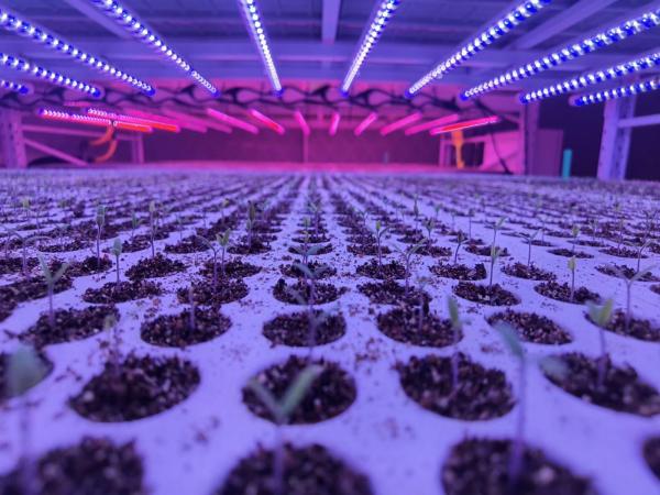 Sansi LED Vertical Seedling System 