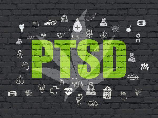 Cannabis and PTSD: Utilizing Medical Marijuana to Alleviate Symptoms