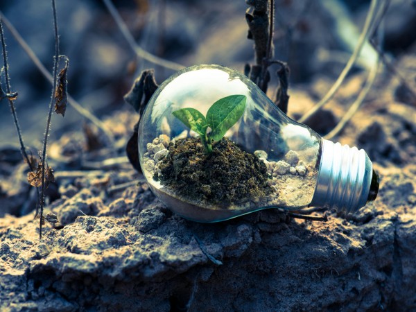 Navigating Light Intensity: How to Use LED Grow Lights Safely Without Damaging Your Plants