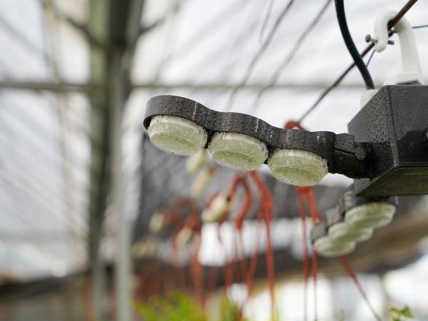 Why Should You Consider the IP Protection Rating When Choosing Lighting Fixtures?