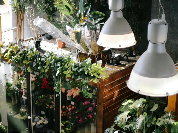 The Science Behind Grow Light Recipes: How Different Light Spectrums Affect Plant Development