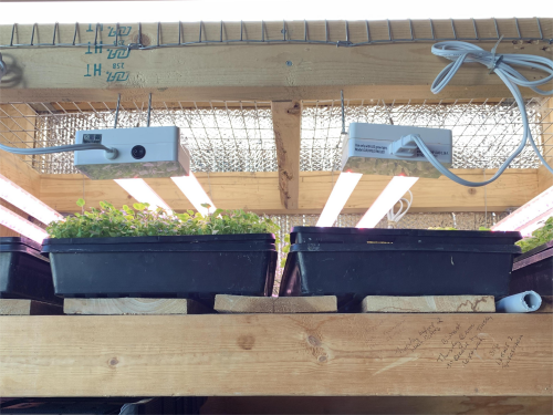 Why does Heat Dissipation Matter in Greenhouse Grow Lights?