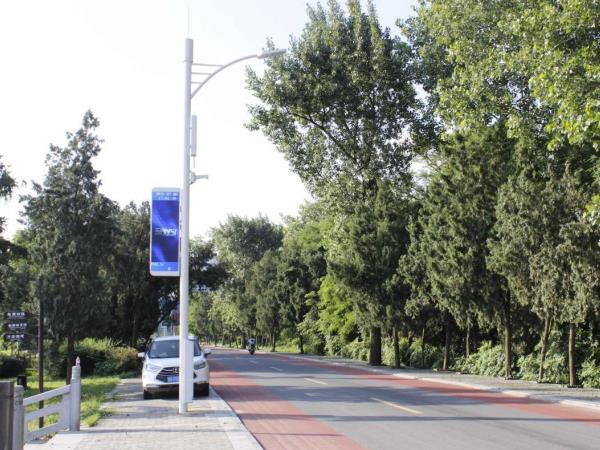 Sansi Smart Streetlight System: Technology Empowers Dual Enhancement of Urban Ecology and Quality of Life