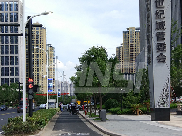 From Illumination to Urban Governance The Digital Transformation Journey of Smart Street Lights
