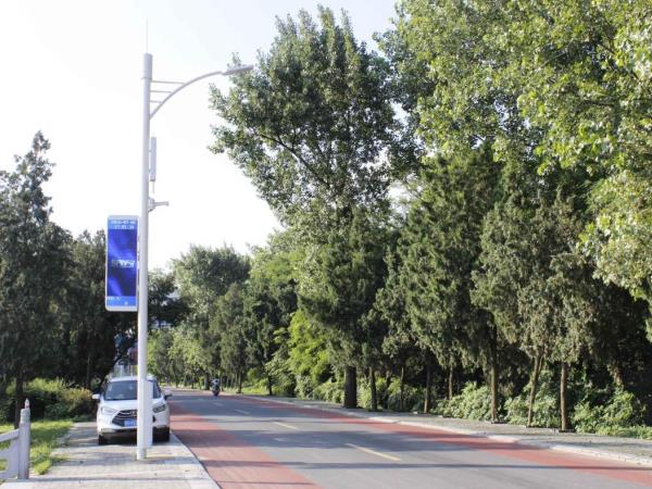 Sansi Smart Streetlight System: Technology Empowers Dual Enhancement of Urban Ecology and Quality of Life