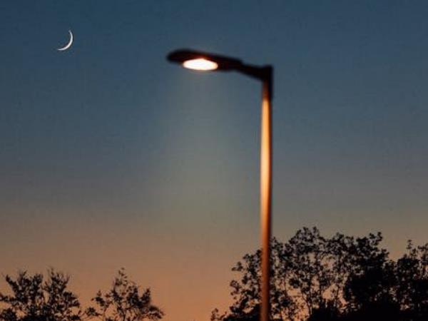 Using LED Landscape Lighting to Enhance Urban Green Spaces