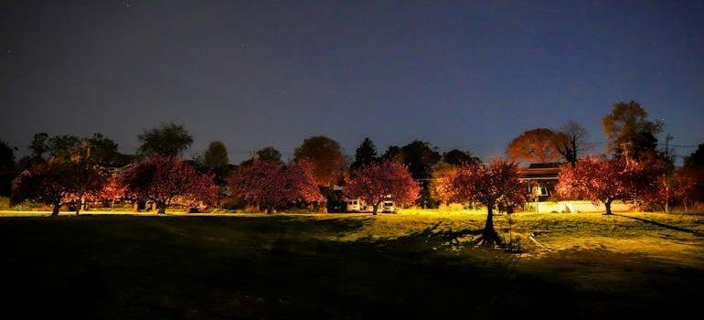using LED landscape lighting