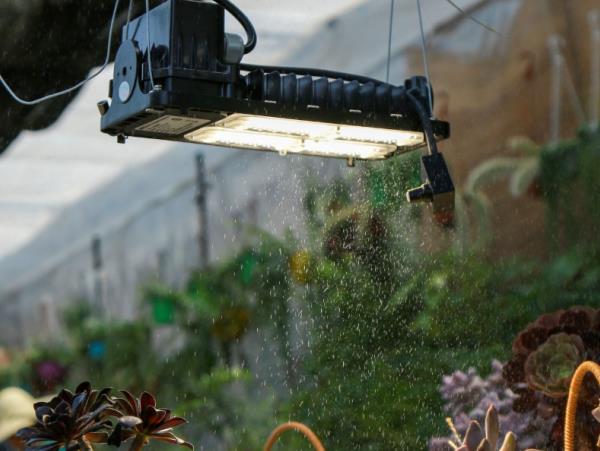 Overcoming Indoor Growing Light Challenges: A Guide to Choosing LED Grow Lights and Common FAQs