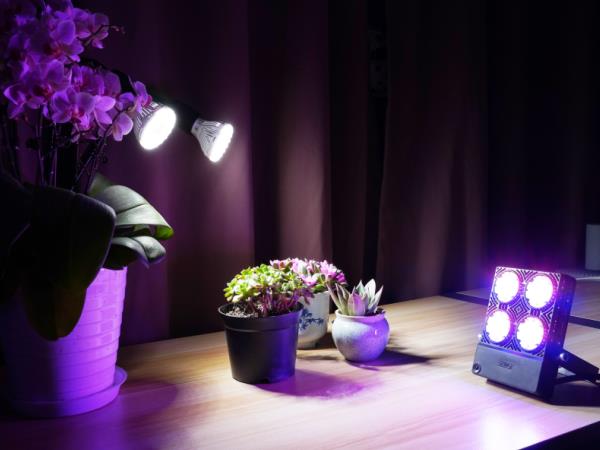 Don't Wait for the Groundhog! Grow Spring Indoors with LED Grow Lights