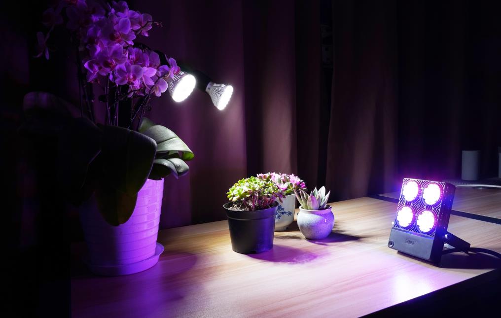 LED grow lights, indoor gardening, full spectrum grow light, SANSI grow lights, plant growth light, herb grow light, early spring gardening, indoor plant light