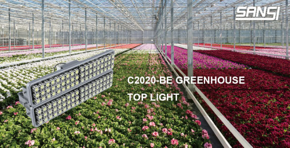 How to Choose Growth Light For Your Horticultural Products