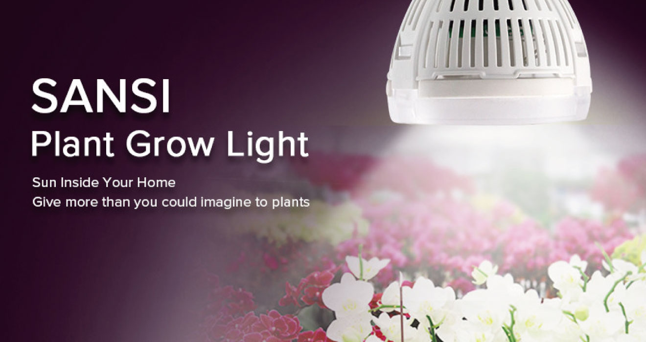 Grow Plants with Full Spectrum LED Grow Lights