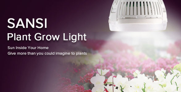 Grow Plants with Full Spectrum LED Grow Lights