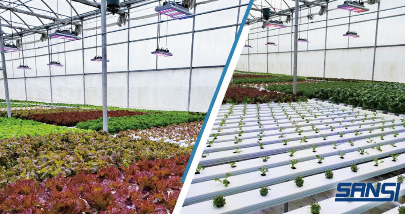 Programmable LED Grow Lights for Horticulture Lighting