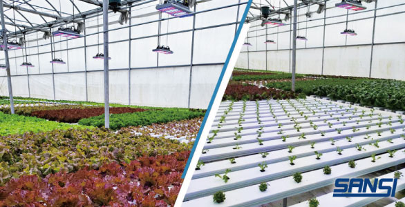 SANSI's Programmable LED Grow Lights for Horticulture Lighting