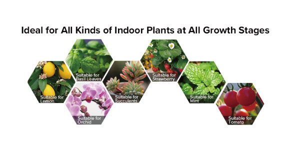 The Best 36W Grow Bulb for Your Indoor Gardening