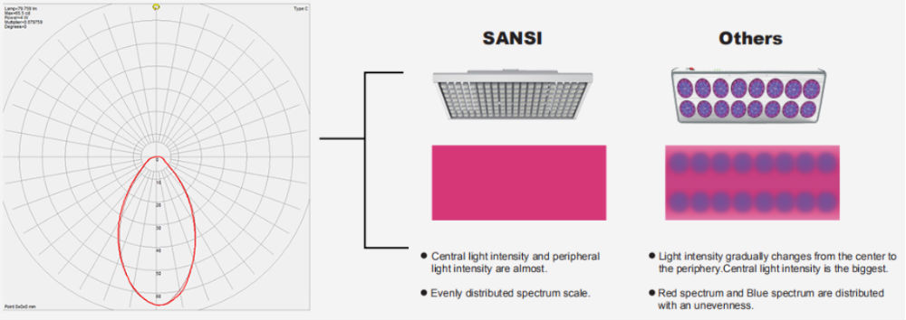 sansi light vs other light