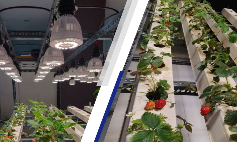 SANSI Vertical farming