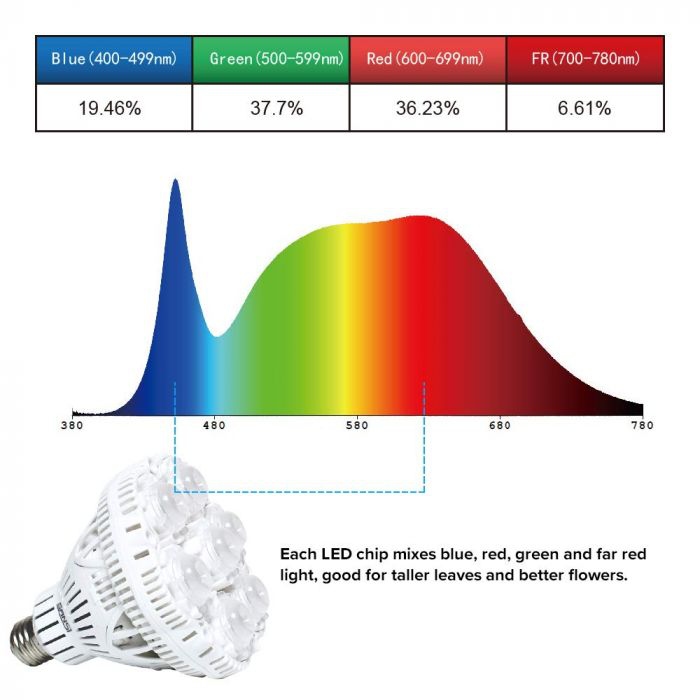 36W-Grow-Bulb-Wavelengths