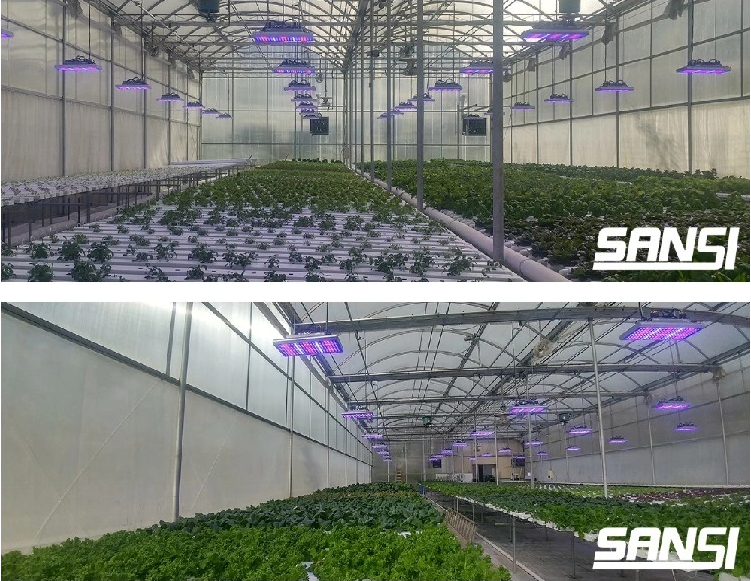C2020 Series High-Power LED Grow Lights