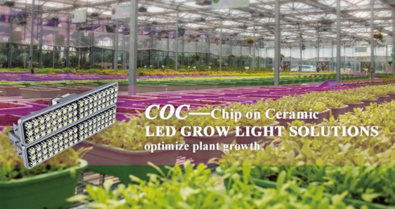 Sansi LED  COC Ceiling lighting Solution to Increase Plant Production