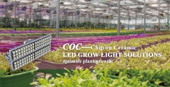 Sansi LED  COC Ceiling lighting Solution to Increase Plant Production