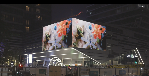 Sansi Outdoor LED Display Shines At ‘the Silicon Valley of China’